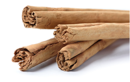 Ceylon Cinnamon